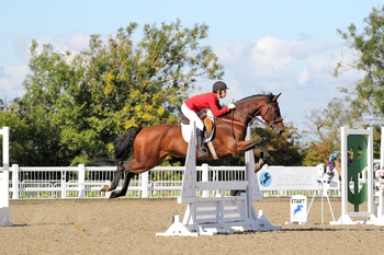 Bedfordshire’s Young Showjumper Abbi Jackson wins the Dodson & Horrell 0.85m National Amateur Second Round at Arena UK